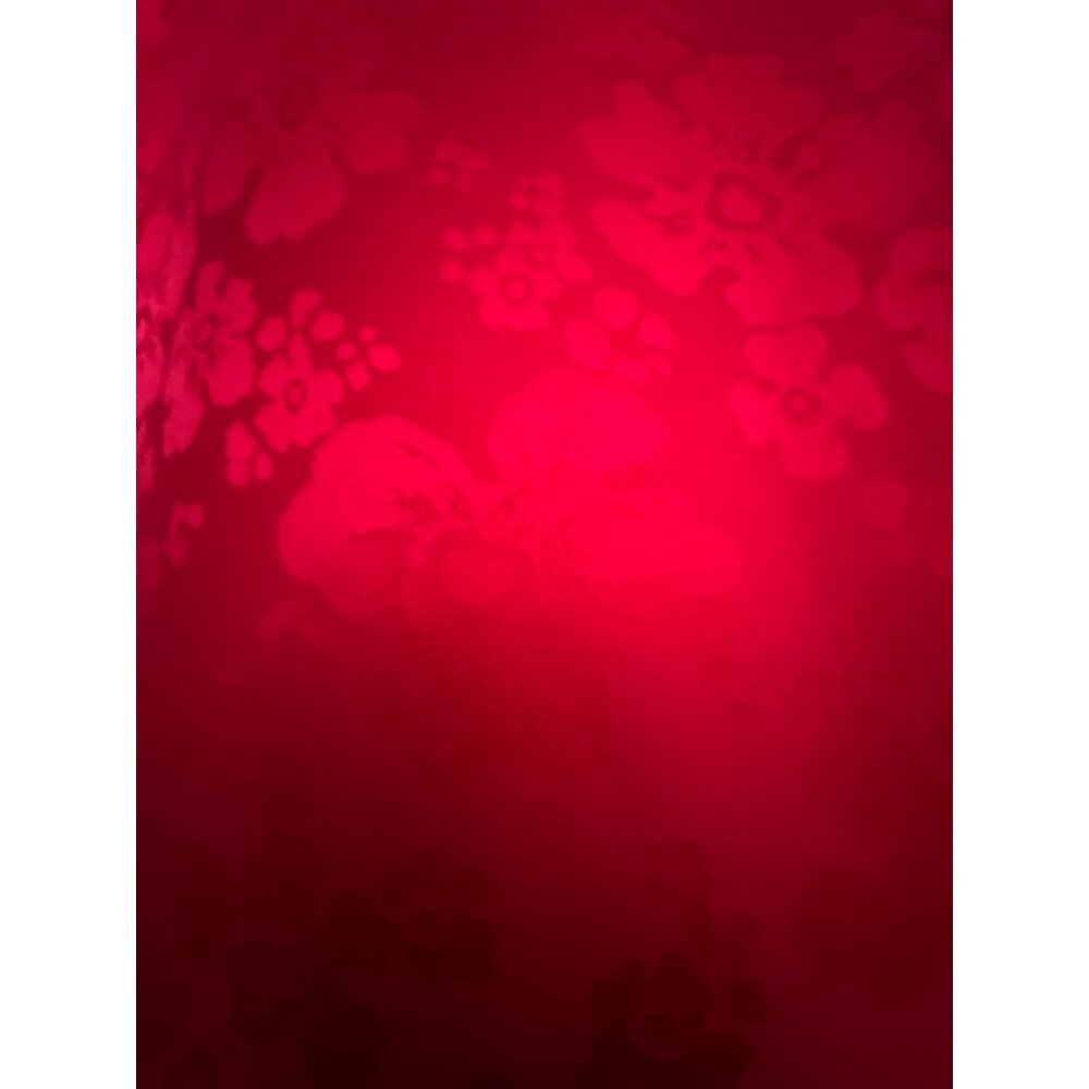 Argenti Petites Apple Red Button Snaps All Silk Vintage Blouse Size 10P - Picture 4 of 7